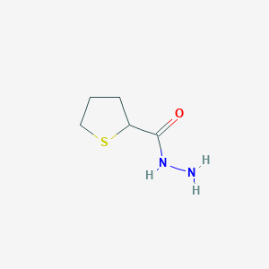 Thiolane-2-carbohydrazide