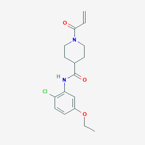 N-(2-Chloro-5-ethoxyphenyl)-1-prop-2-enoylpiperidine-4-carboxamide