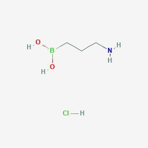 molecular formula C3H11BClNO2 B2845797 (3-氨基丙基)硼酸盐盐酸盐 CAS No. 144396-20-3