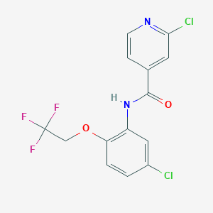 molecular formula C14H9Cl2F3N2O2 B2845897 2-chloro-N-[5-chloro-2-(2,2,2-trifluoroethoxy)phenyl]pyridine-4-carboxamide CAS No. 1088076-95-2