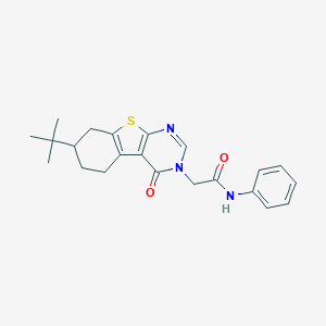 2-(7-tert-butyl-4-oxo-5,6,7,8-tetrahydro[1]benzothieno[2,3-d]pyrimidin-3(4H)-yl)-N-phenylacetamide