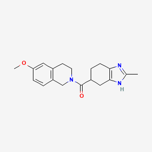 molecular formula C19H23N3O2 B2847229 (6-methoxy-3,4-dihydroisoquinolin-2(1H)-yl)(2-methyl-4,5,6,7-tetrahydro-1H-benzo[d]imidazol-5-yl)methanone CAS No. 2034584-47-7