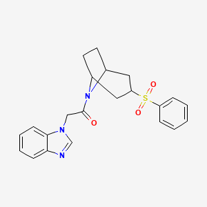 molecular formula C22H23N3O3S B2847638 2-(1H-benzo[d]imidazol-1-yl)-1-((1R,5S)-3-(phenylsulfonyl)-8-azabicyclo[3.2.1]octan-8-yl)ethanone CAS No. 1797884-65-1