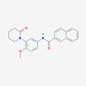 molecular formula C23H22N2O3 B2847775 N-[4-methoxy-3-(2-oxopiperidin-1-yl)phenyl]naphthalene-2-carboxamide CAS No. 941919-84-2