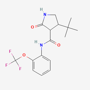 molecular formula C16H19F3N2O3 B2848113 4-叔丁基-2-氧代-N-[2-(三氟甲氧基)苯基]吡咯啶-3-羧酰胺 CAS No. 2097865-03-5