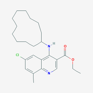 molecular formula C25H35ClN2O2 B284838 Ethyl 6-chloro-4-(cyclododecylamino)-8-methyl-3-quinolinecarboxylate 