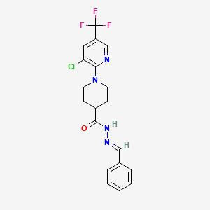 molecular formula C19H18ClF3N4O B2848814 1-[3-氯-5-(三氟甲基)-2-吡啶基]-N'-(苯基甲亚甲基)-4-哌啶羧酰肼 CAS No. 338761-40-3