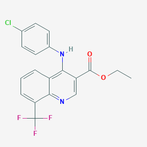 molecular formula C19H14ClF3N2O2 B284884 Ethyl 4-(4-chloroanilino)-8-(trifluoromethyl)-3-quinolinecarboxylate 