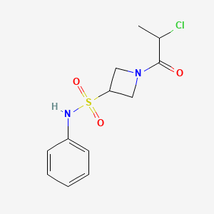 1-(2-Chloropropanoyl)-N-phenylazetidine-3-sulfonamide