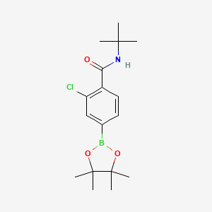 N-tert-Butyl-2-chloro-4-(tetramethyl-1,3,2-dioxaborolan-2-yl)benzamide