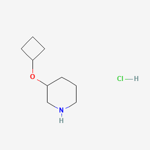 molecular formula C9H18ClNO B2849969 3-Cyclobutoxypiperidine hydrochloride CAS No. 1799284-92-6