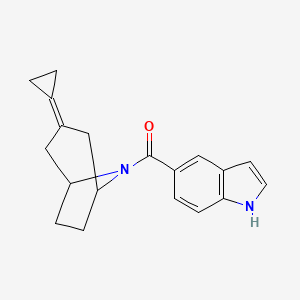 molecular formula C19H20N2O B2850277 5-{3-cyclopropylidene-8-azabicyclo[3.2.1]octane-8-carbonyl}-1H-indole CAS No. 2178771-06-5