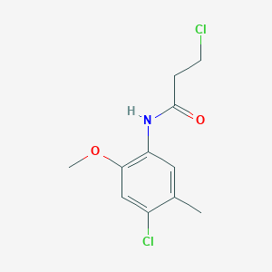 molecular formula C11H13Cl2NO2 B285124 3-chloro-N-(4-chloro-2-methoxy-5-methylphenyl)propanamide 