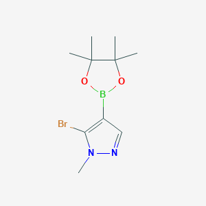 molecular formula C10H16BBrN2O2 B2851976 5-Bromo-1-methylpyrazole-4-boronic acid pinacol ester CAS No. 2377609-16-8