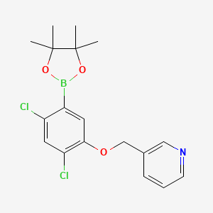 molecular formula C18H20BCl2NO3 B2852037 2,4-Dichloro-5-(3-pyridylmethoxy)phenylboronic aicd pinacol ester CAS No. 2377607-60-6