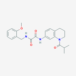 molecular formula C23H27N3O4 B2852065 N1-(1-isobutyryl-1,2,3,4-tetrahydroquinolin-7-yl)-N2-(2-methoxybenzyl)oxalamide CAS No. 941940-15-4