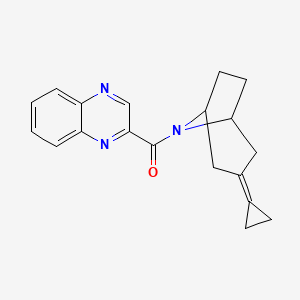 molecular formula C19H19N3O B2852121 2-{3-Cyclopropylidene-8-azabicyclo[3.2.1]octane-8-carbonyl}quinoxaline CAS No. 2189499-71-4