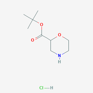 molecular formula C9H18ClNO3 B2852282 叔丁基吗啉-2-羧酸盐；盐酸盐 CAS No. 2490430-35-6