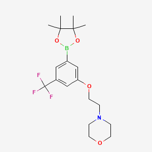 molecular formula C19H27BF3NO4 B2852731 3-(2-Morpholinoethoxy)-5-(trifluoromethyl)phenylboronic acid, pinacol ester CAS No. 2096333-37-6