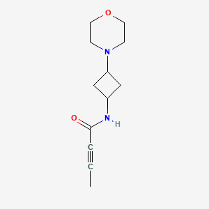 molecular formula C12H18N2O2 B2852798 N-(3-Morpholin-4-ylcyclobutyl)but-2-ynamide CAS No. 2411260-63-2