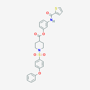 molecular formula C29H26N2O6S2 B285327 3-[(2-Thienylcarbonyl)amino]phenyl 1-[(4-phenoxyphenyl)sulfonyl]-4-piperidinecarboxylate 