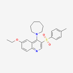 molecular formula C24H28N2O3S B2854396 4-(Azepan-1-yl)-6-ethoxy-3-tosylquinoline CAS No. 866848-31-9