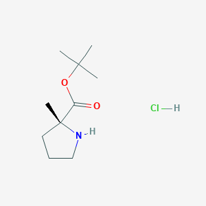 tert-butyl (2R)-2-methylpyrrolidine-2-carboxylate hydrochloride