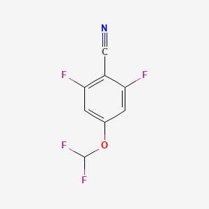 molecular formula C8H3F4NO B2855819 4-(Difluoromethoxy)-2,6-difluorobenzonitrile CAS No. 1260862-43-8