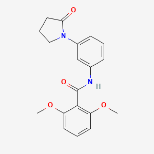 molecular formula C19H20N2O4 B2855909 2,6-dimethoxy-N-[3-(2-oxopyrrolidin-1-yl)phenyl]benzamide CAS No. 922886-72-4