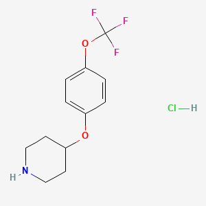 B2856101 4-(4-(Trifluoromethoxy)phenoxy)piperidine hydrochloride CAS No. 1501963-64-9