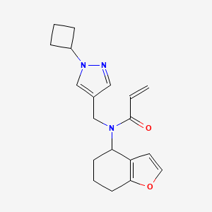 molecular formula C19H23N3O2 B2856357 N-[(1-Cyclobutylpyrazol-4-yl)methyl]-N-(4,5,6,7-tetrahydro-1-benzofuran-4-yl)prop-2-enamide CAS No. 2411221-23-1