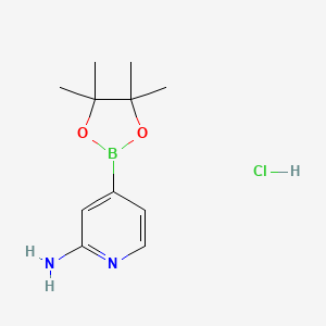 molecular formula C11H18BClN2O2 B2856924 4-(4,4,5,5-Tetramethyl-1,3,2-dioxaborolan-2-yl)pyridin-2-amine;hydrochloride CAS No. 1610521-57-7