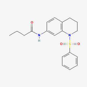 molecular formula C19H22N2O3S B2858564 N-[1-(benzenesulfonyl)-3,4-dihydro-2H-quinolin-7-yl]butanamide CAS No. 1005301-23-4