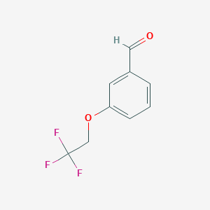 molecular formula C9H7F3O2 B2859195 3-(2,2,2-Trifluoroethoxy)benzaldehyde CAS No. 155908-58-0