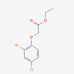 Ethyl 2-(2-bromo-4-chlorophenoxy)acetate