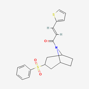 (E)-1-((1R,5S)-3-(phenylsulfonyl)-8-azabicyclo[3.2.1]octan-8-yl)-3-(thiophen-2-yl)prop-2-en-1-one