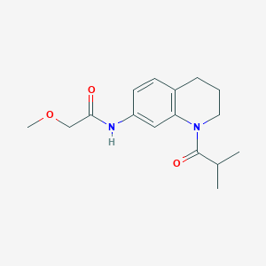 molecular formula C16H22N2O3 B2859830 N-(1-isobutyryl-1,2,3,4-tetrahydroquinolin-7-yl)-2-methoxyacetamide CAS No. 955539-24-9