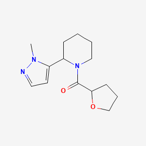[2-(2-Methylpyrazol-3-yl)piperidin-1-yl]-(oxolan-2-yl)methanone