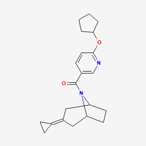 molecular formula C21H26N2O2 B2861636 8-[6-(Cyclopentyloxy)pyridine-3-carbonyl]-3-cyclopropylidene-8-azabicyclo[3.2.1]octane CAS No. 2195938-28-2