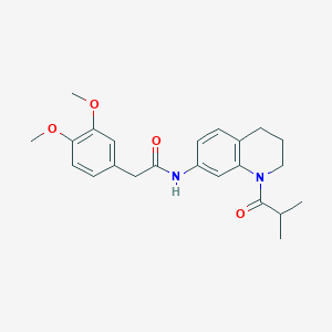 2-(3,4-dimethoxyphenyl)-N-(1-isobutyryl-1,2,3,4-tetrahydroquinolin-7-yl)acetamide