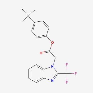 molecular formula C20H19F3N2O2 B2862126 4-(tert-butyl)phenyl 2-[2-(trifluoromethyl)-1H-1,3-benzimidazol-1-yl]acetate CAS No. 672951-00-7