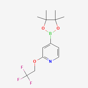 4-(4,4,5,5-Tetramethyl-1,3,2-dioxaborolan-2-yl)-2-(2,2,2-trifluoroethoxy)pyridine