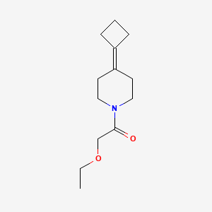 molecular formula C13H21NO2 B2863358 1-(4-Cyclobutylidenepiperidin-1-yl)-2-ethoxyethanone CAS No. 2319804-78-7