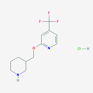 molecular formula C12H16ClF3N2O B2864093 2-(哌啶-3-基甲氧基)-4-(三氟甲基)吡啶；盐酸盐 CAS No. 2379946-43-5