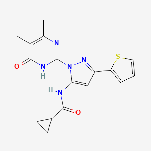 N-(1-(4,5-dimethyl-6-oxo-1,6-dihydropyrimidin-2-yl)-3-(thiophen-2-yl)-1H-pyrazol-5-yl)cyclopropanecarboxamide