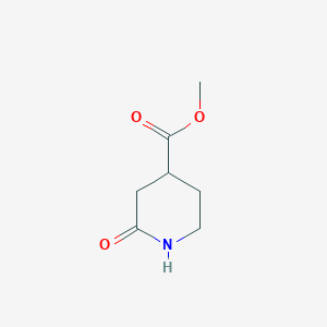 molecular formula C7H11NO3 B2866965 Methyl 2-oxopiperidine-4-carboxylate CAS No. 25504-47-6