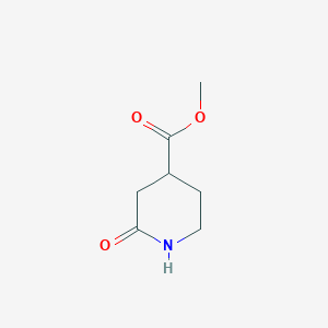 molecular formula C7H11NO3 B2866965 2-氧代哌啶-4-甲酸甲酯 CAS No. 25504-47-6