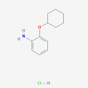 molecular formula C12H18ClNO B2867436 [2-(环己氧基)苯基]胺盐酸盐 CAS No. 105973-36-2