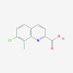 molecular formula C11H8ClNO2 B2868591 7-Chloro-8-methylquinoline-2-carboxylic acid CAS No. 1092305-25-3