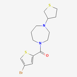(4-Bromothiophen-2-yl)-[4-(thiolan-3-yl)-1,4-diazepan-1-yl]methanone